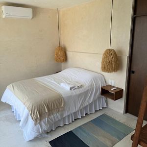 Habitación con Cama King
